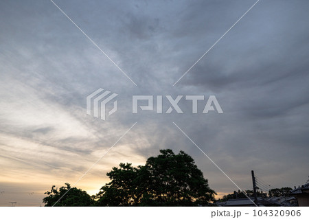 住宅街の公園にて　シルエットとして浮かび上がった公園樹 104320906