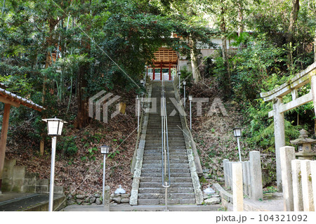 河内長野・烏帽子形八幡神社の参道の長い石段 河内長野・烏帽子形八幡神社の参道の長い石段 104321092
