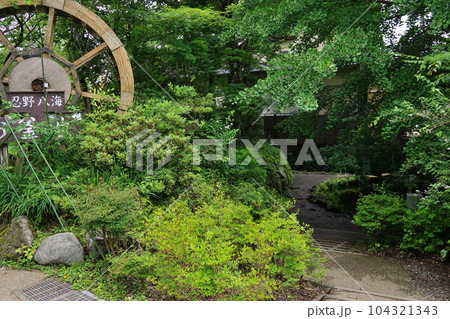 忍野八海　お釜池 104321343