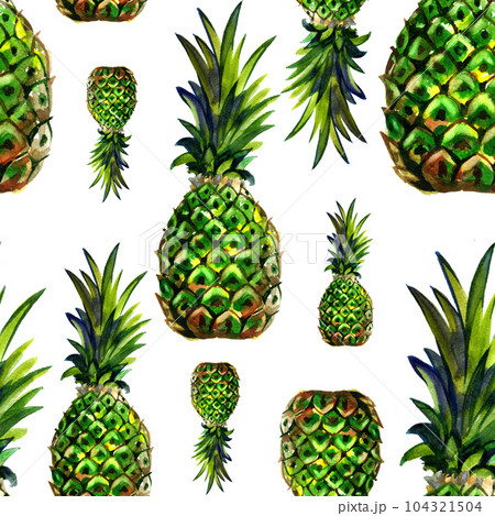 Watercolor summer green pineapple pattern on white background. Spring fruit background. 104321504