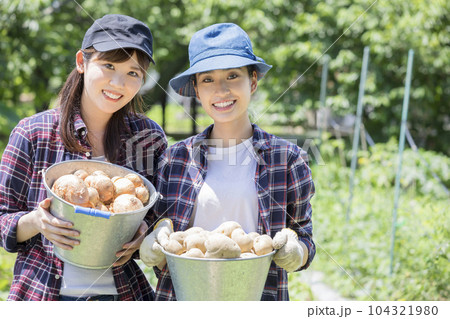 野菜を収穫する若い女性2人 農業女子イメージの写真素材 [104321980] - PIXTA