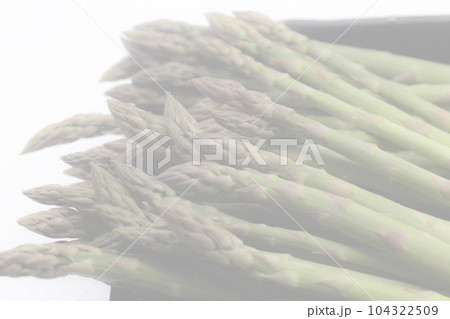 アスパラガス　ふるさと　春　野菜　北海道 104322509