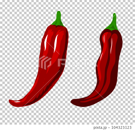 Illustration of two red chili peppers 104323123