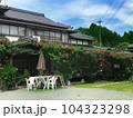 日本家屋とバラの庭 104323298