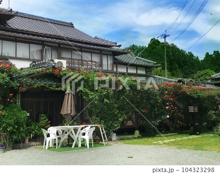 日本家屋とバラの庭 日本家屋とバラの庭 104323298