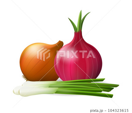 Photo realistic fresh onions 104323615