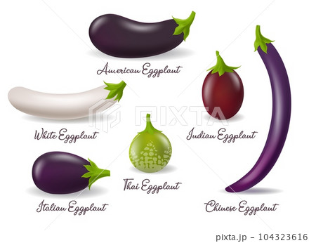 Eggplants varieties photo realistic 104323616