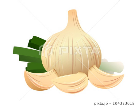 Garlics cloves design on white 104323618