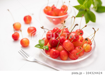 さくらんぼ 白背景 104324424