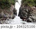 岩間から打ち寄せる波 104325100