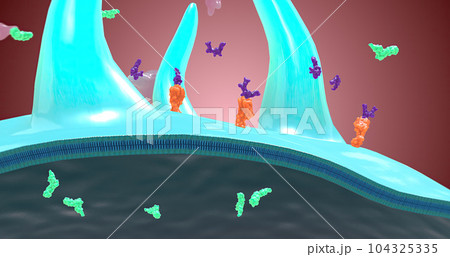 Platelet activation and aggregation play an important role in occlusive vascular events 104325335