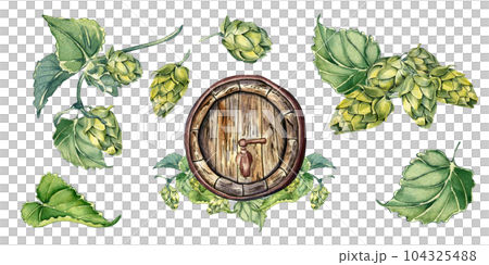 Set of wooden beer barrel and hop plants watercolor illustration isolated on white background. Vintage barrel hand drawn. Design element for advertising beer festival, packaging, brewing, signboard Set of wooden beer barrel and hop plants watercolor illustration isolated on white background. Vintage barrel hand drawn. Design element for advertising beer festival, packaging, brewing, signboard 104325488