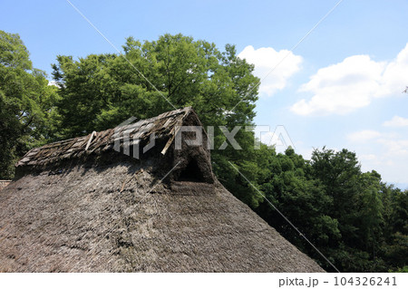 茅葺き屋根のイメージ（四国村ミウゼアム 河野家住宅） 104326241