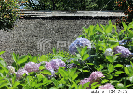 茅葺き屋根のイメージ（四国村ミウゼアム 下木家住宅） 104326259