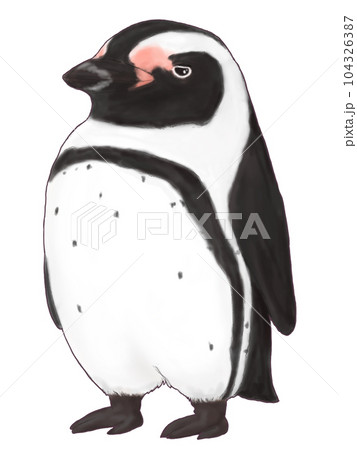 ぽてっとフンボルトペンギン ぽてっとフンボルトペンギン 104326387