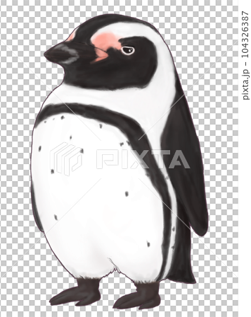 ぽてっとフンボルトペンギン ぽてっとフンボルトペンギン 104326387