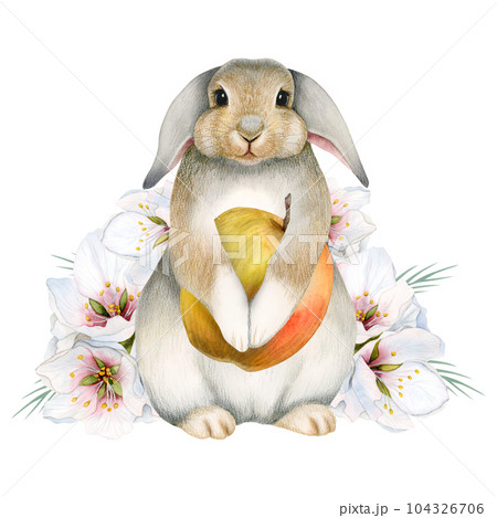 Watercolor bunny rabbit with apple fruit and pink white flowers illustration isolated on white background. Cute hand drawn hare for stickers, kids room nursery decor 104326706