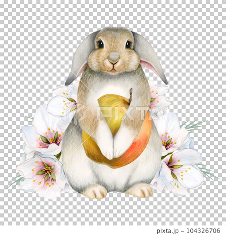 Watercolor bunny rabbit with apple fruit and pink white flowers illustration isolated on white background. Cute hand drawn hare for stickers, kids room nursery decor 104326706
