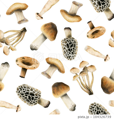 Edible brown mushrooms watercolor seamless pattern on white background. Woodland forest plants illustration of organic cooking ingredient for healthy cookbook recipes 104326739