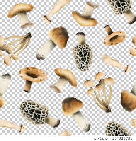Edible brown mushrooms watercolor seamless pattern on white background. Woodland forest plants illustration of organic cooking ingredient for healthy cookbook recipes 104326739