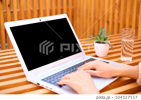 Closeup of unrecognizable woman typing on laptop keyboard while working outdoor, remote job, empty display with copy space for advertisement, area for promotional text. 104327517