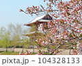 平城京跡の朱雀門と桜 104328133