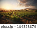 Beautiful landscape of vineyards rows on mountains or hills sunset background with cloudy sky 104328879