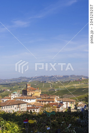 Castle and town with vineyard in Barolo, Langhe region, Piedmont, Italy 104329207