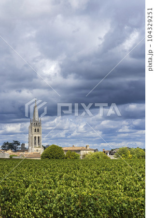 Vineyards with Saint-Emilion town, Aquitaine, Gironde, France 104329251
