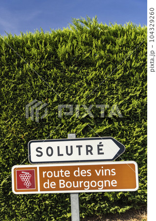 Wine road near Solutre, Burgundy, France Wine road near Solutre, Burgundy, France 104329260