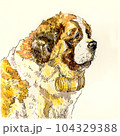 水彩で描いたセントバーナード 104329388