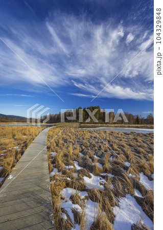 nature reserve Olsina, Sumava National Park, Czech Republic nature reserve Olsina, Sumava National Park, Czech Republic 104329848
