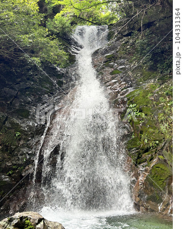 岐阜県・白水(ハクスイ)の滝 岐阜県・白水(ハクスイ)の滝 104331364