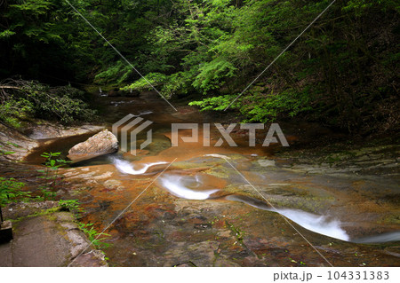 龍鎮神社(奈良県宇陀市) 龍鎮神社(奈良県宇陀市) 104331383