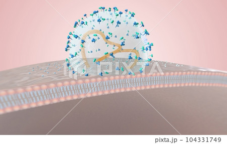 virus attack on immune system virus attack on immune system 104331749