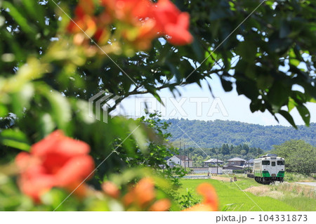 小湊鐵道「初夏のローカル風景」フォトフレーム 小湊鐵道「初夏のローカル風景」フォトフレーム 104331873