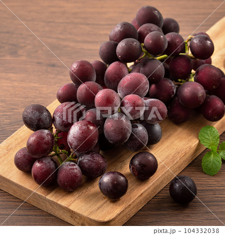 ぶどう 葡萄 ブドウ 104332038
