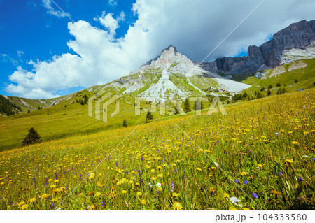 landscape with mountains, clouds, meadow and trees landscape with mountains, clouds, meadow and trees 104333580