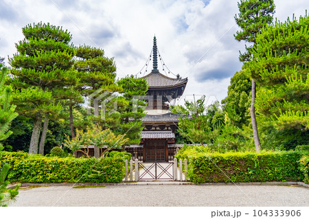 京都市伏見区　近衛天皇　安楽寿院南陵 104333906