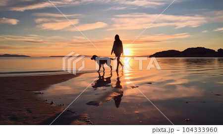 夕方の海で犬と歩く女性 104333960