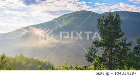 wonderful mountainous countryside at sunrise. nature freshness concept 104334397