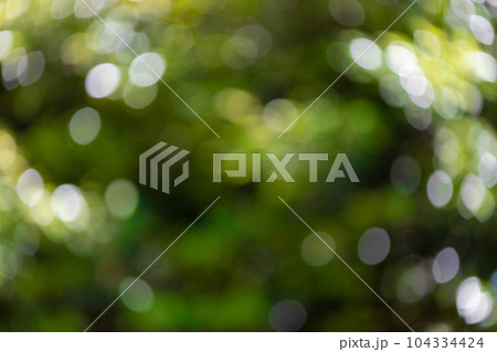新緑の緑のイメージ背景画像 新緑の緑のイメージ背景画像 104334424