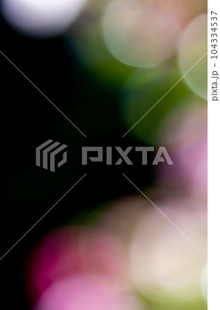 バラの花のぼかし背景 104334537