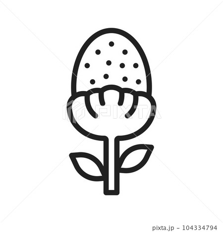 Pineappleweed Icon Image. Pineappleweed Icon Image. 104334794