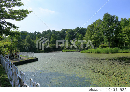 湖の庭園　軽井沢レイクガーデン 104334925