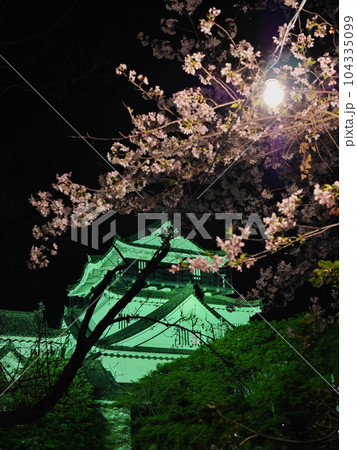 愛知県の岡崎城と夜桜 104335099