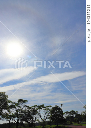 青空 雲 太陽 木 公園 青空 雲 太陽 木 公園 104335211