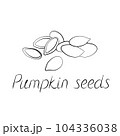 Pumpkin seeds vector. Vegetarian food or snack illustration 104336038