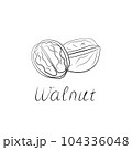 Walnut hand-drawn vector Illustration isolated on white background 104336048