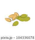 Pumpkin seeds vector. Vegetarian food or snack illustration 104336078